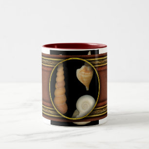 Muscheln - Conchologie - Muscheln Zweifarbige Tasse