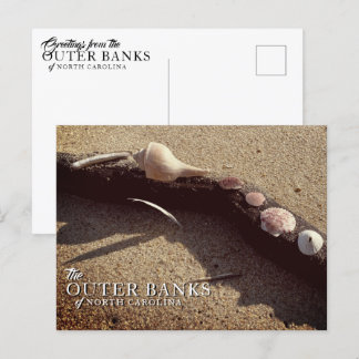 Muscheln der Außenbanken Postkarten