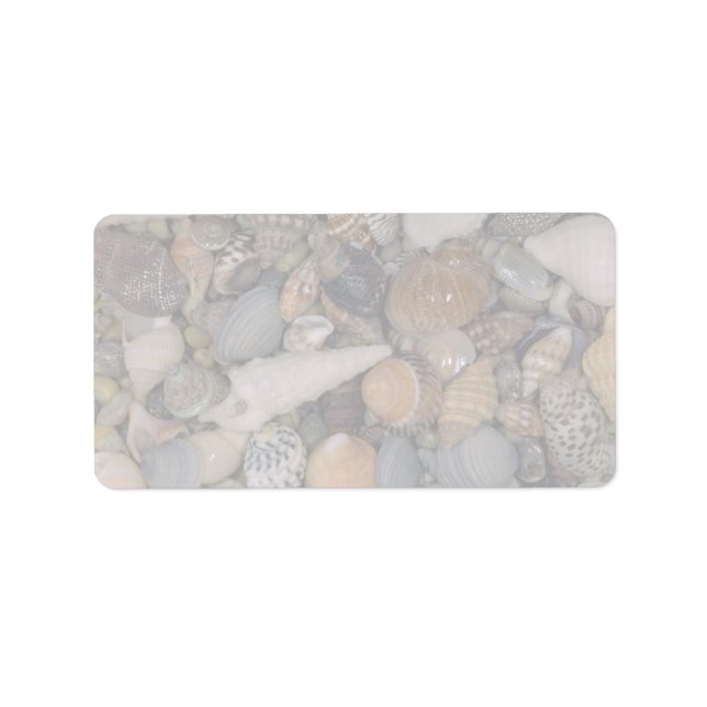 Muscheln der Muschel Adressaufkleber (Vorne)
