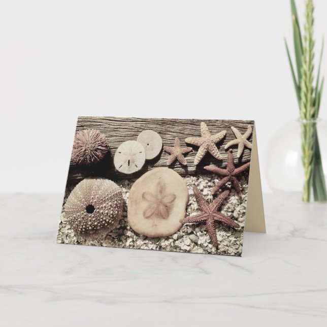 Muscheln der Sanibel & Captiva Card Karte (Vorderseite)