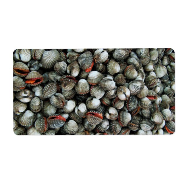 Muscheln des Blutcockle (Vorne)