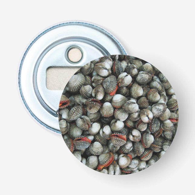 Muscheln des Blutcockle Flaschenöffner (Vorderseite)