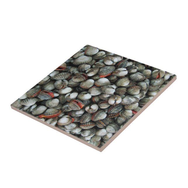 Muscheln des Blutcockle Fliese (Seite)