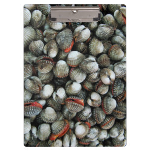Muscheln des Blutcockle Klemmbrett