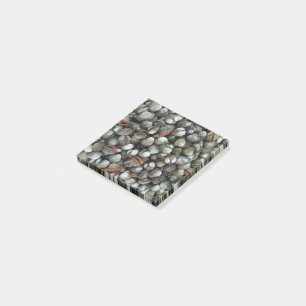 Muscheln des Blutcockle Post-it Klebezettel