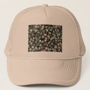 Muscheln des Blutcockle Truckerkappe