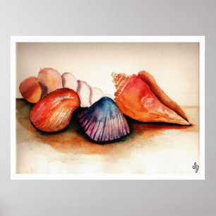 Muscheln des Sommers Poster