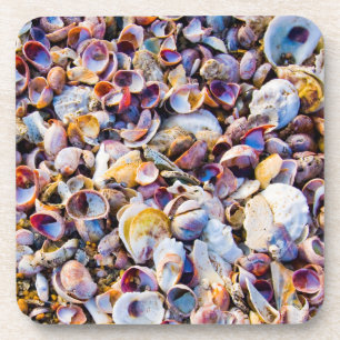 Muscheln durch das Seeufer Untersetzer