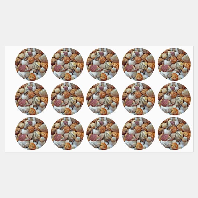 Muscheln Etiketten (Blatt)