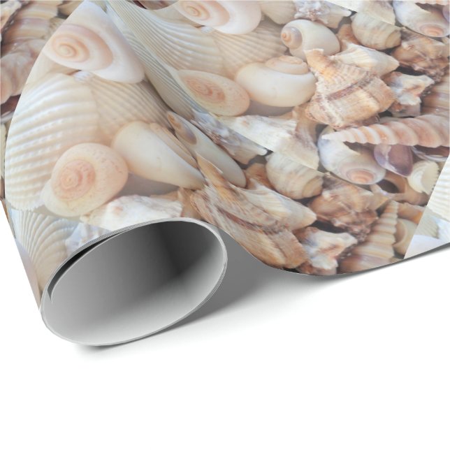 Muscheln, exotische Sommerfotografie Geschenkpapier (Rolleneckpunkt)