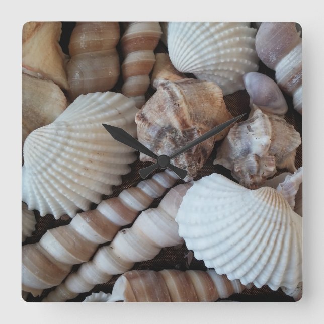 Muscheln, exotische Uhr für den Sommerstrand (Vorderseite)