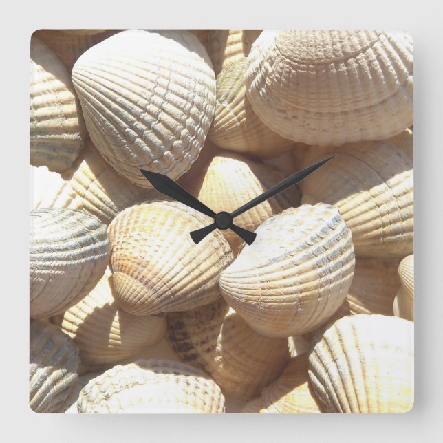 Muscheln, exotische Uhr für den Sommerstrand (Vorderseite)