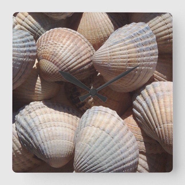 Muscheln, exotische Uhr für den Sommerstrand (Vorderseite)