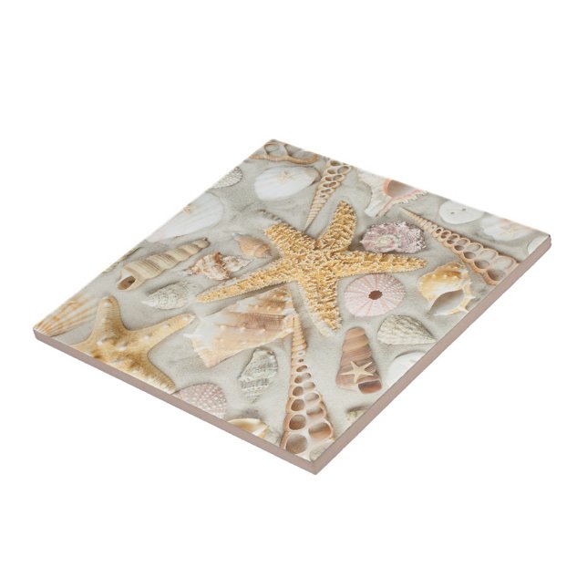 Muscheln Fliese (Starfish Seashells Cermic Tile!)