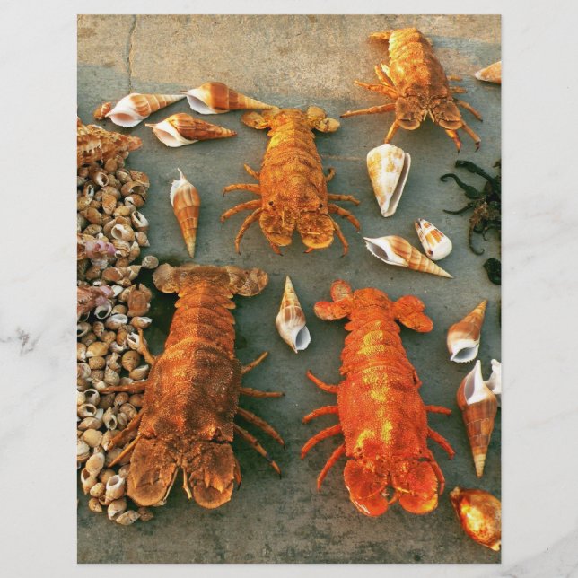 Muscheln Flyer (Vorne)