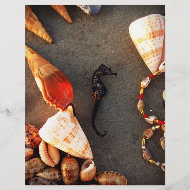 Muscheln Flyer (Vorne)