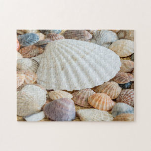 Muscheln Foto Puzzle
