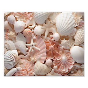 Muscheln Fotodruck