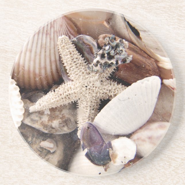 Muscheln Getränkeuntersetzer (Vorne)