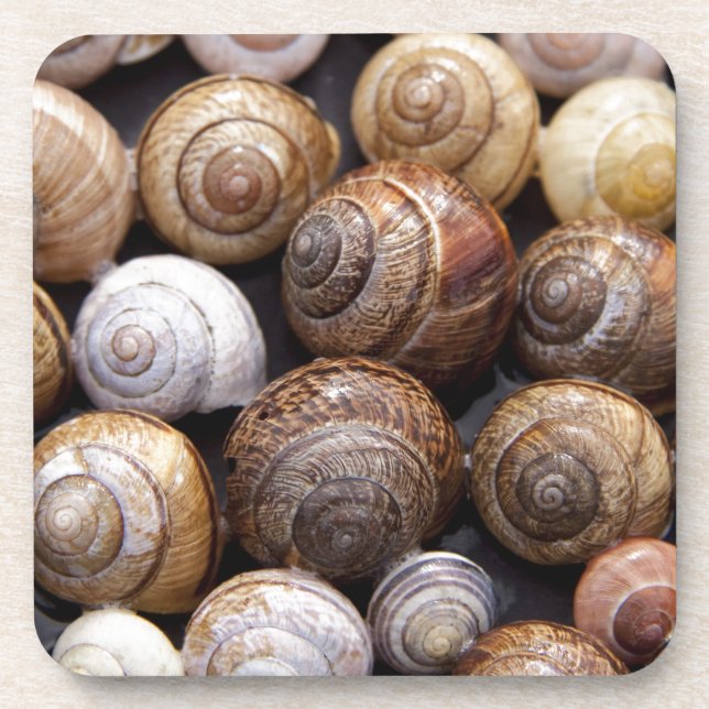 Muscheln Getränkeuntersetzer (Vorderseite)