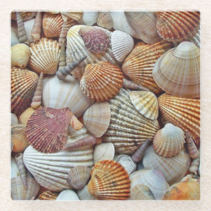 Muscheln Glasuntersetzer