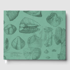 Muscheln grüne Stuhlensammlung Gästebuch