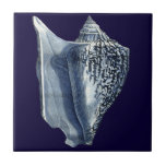 MUSCHELN I FLIESE<br><div class="desc">Meeresleben</div>