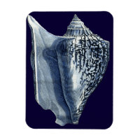 MUSCHELN I