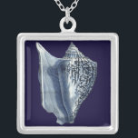 MUSCHELN I VERSILBERTE KETTE<br><div class="desc">Meeresleben</div>