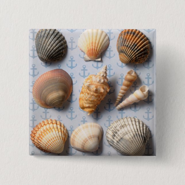 Muscheln im Hintergrund Button (Vorderseite)