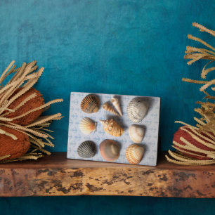 Muscheln im Hintergrund Fotoplatte