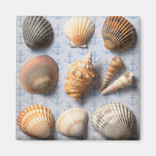 Muscheln im Hintergrund Magnet