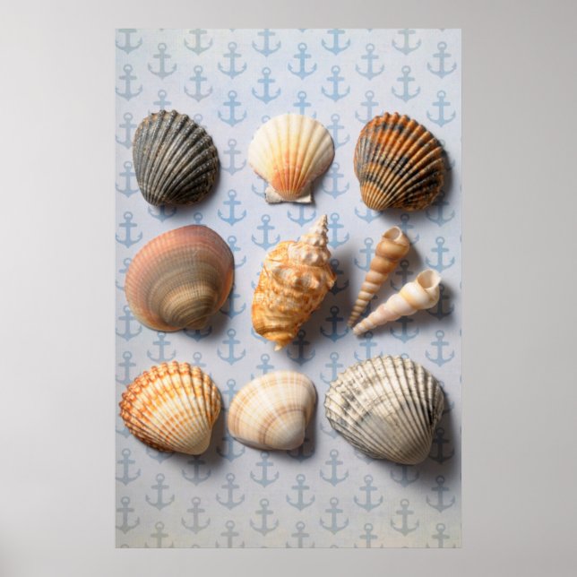 Muscheln im Hintergrund Poster (Vorne)