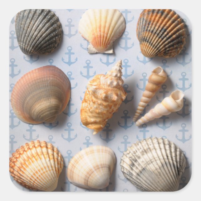 Muscheln im Hintergrund Quadratischer Aufkleber (Vorderseite)