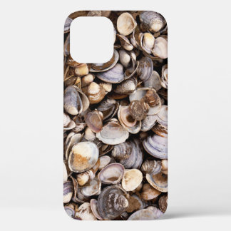Muscheln im Mud Case-Mate iPhone Hülle