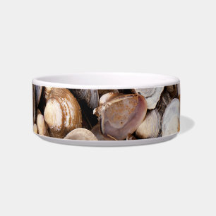 Muscheln im Mud Napf