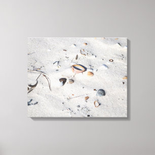 Muscheln im Sand Farbe 16x20 Leinwanddruck