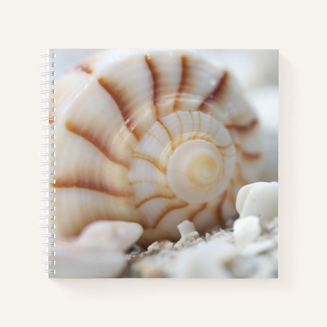 Muscheln im SandNotebook Notizbuch (Vorderseite)