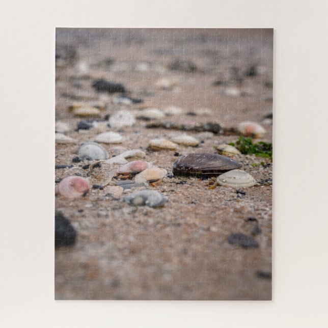 Muscheln im Strandpuzzle Puzzle (Vertikal)