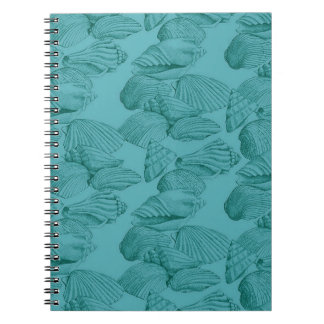 Muscheln in Aqua Notizblock