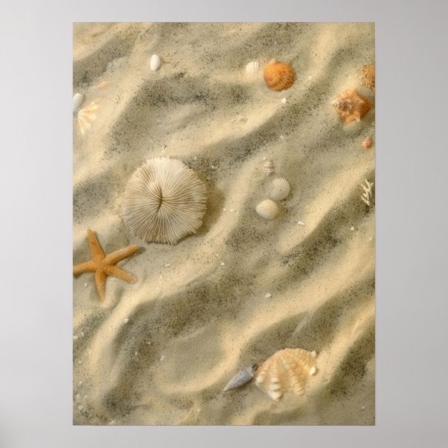Muscheln in Sand Poster (Vorne)