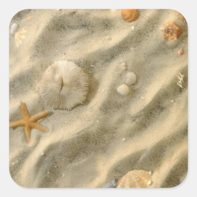 Muscheln in Sand Quadratischer Aufkleber (Vorderseite)