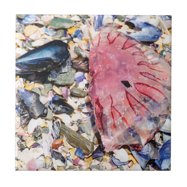 Muscheln Jellyfish Ocean Beach View Fliese (Vorderseite)