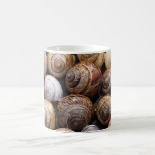 Muscheln Kaffeetasse
