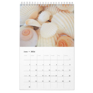 Muscheln Kalender 2024 Exotische tropische Romanti