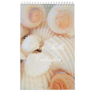 Muscheln Kalender Exotic Tropical Romantic