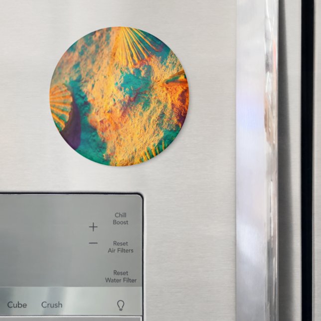 Muscheln, Kamm-Muscheln, Muscheln, Scallops Magnet (In Situ (Kühlschrank))