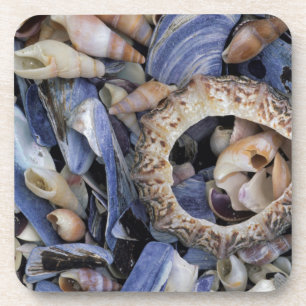 Muscheln, Kapstadt, Westkap Getränkeuntersetzer