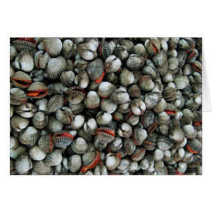 Muscheln-Karte des Blutcockles