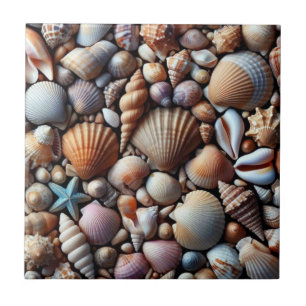 Muscheln Keramik Fliese